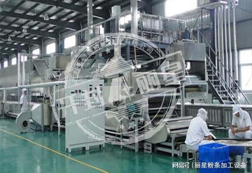 機(jī)械化加工粉條的優(yōu)勢(shì)、常見(jiàn)問(wèn)題及解決方案全解析